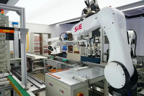 赛意信息2020年度业绩说明会 智能制造业务高速增长，研发投入驱动智能机器人创新发展